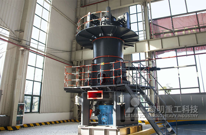 客戶來廠參觀 LUM超細立式磨粉機展廳